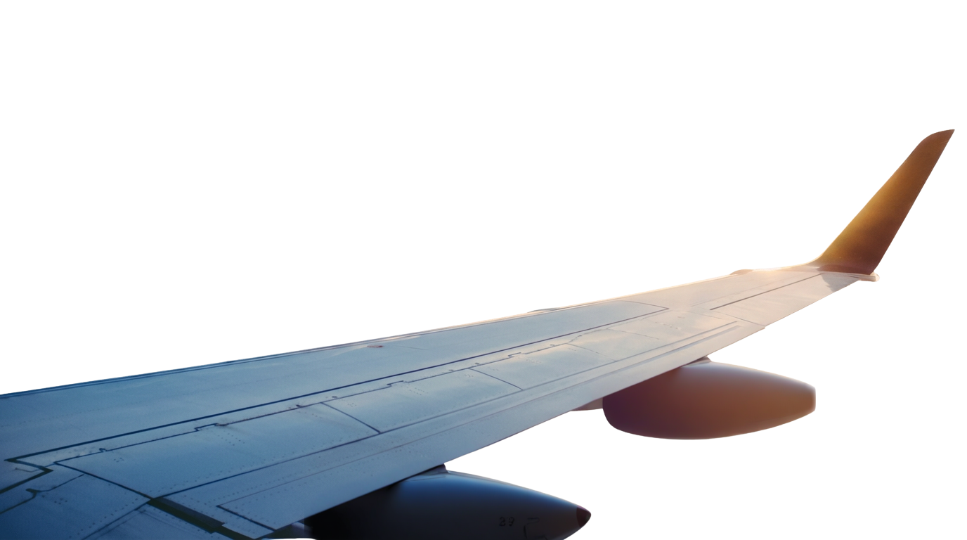 Wing